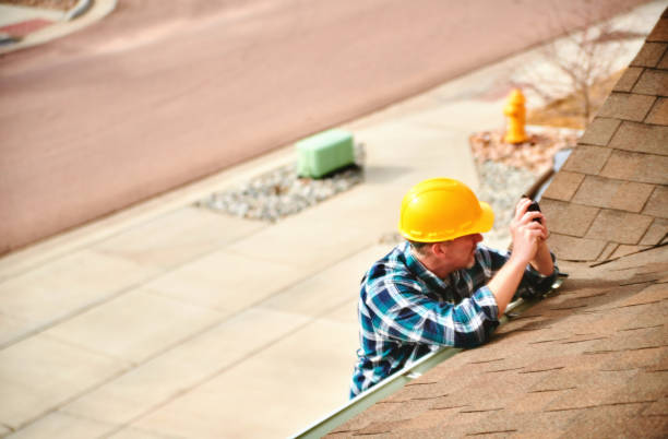 Best Roof Inspection Near Me  in Shannon, GA