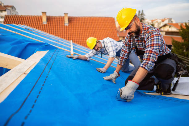 Best Flat Roof Repair Services  in Shannon, GA