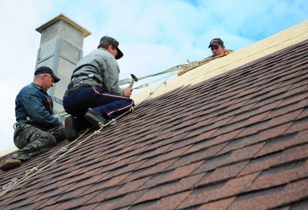 Best Storm Damage Roof Repair  in Shannon, GA