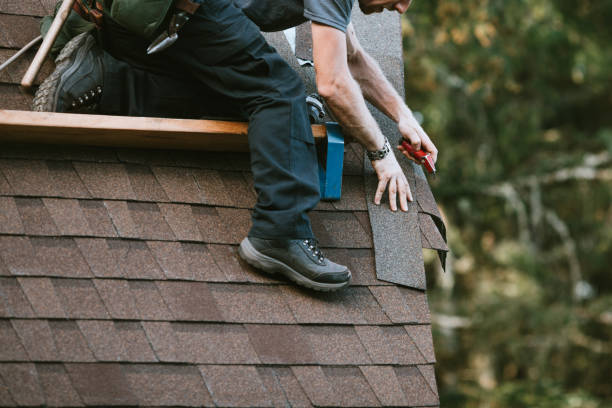 Best Gutter Installation and Roofing  in Shannon, GA